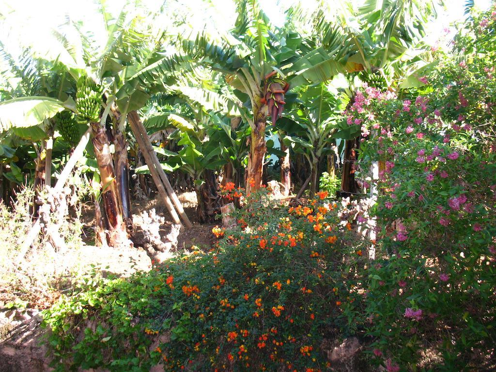 Quinta Sao Goncalo Villa ฟุงชาล ภายนอก รูปภาพ
